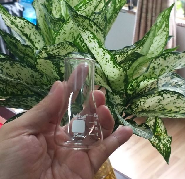 Bình tam giác 25ml hãng Biohall-Germany