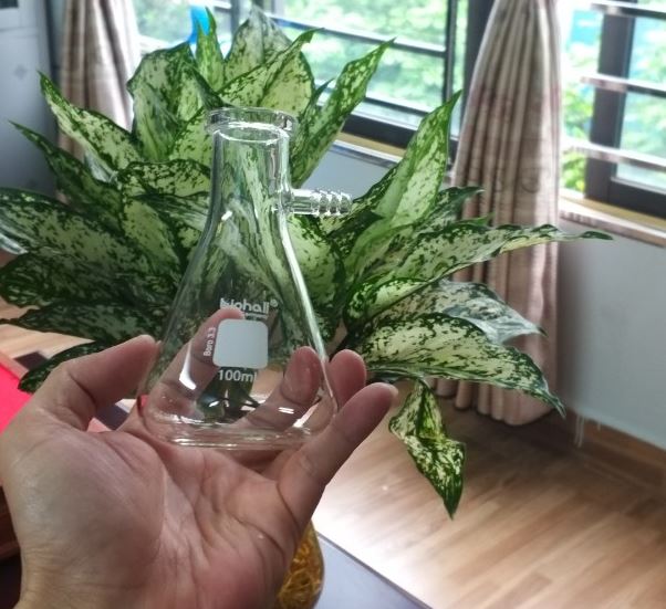 Bình tam giác có nhánh hút chân không 100ml hãng Biohall-Germany