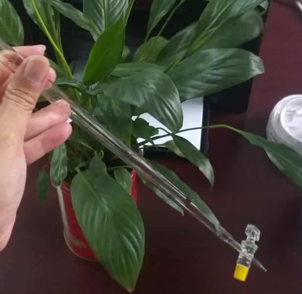 Burette trắng khóa thủy tinh 10ml, hãng Onelab