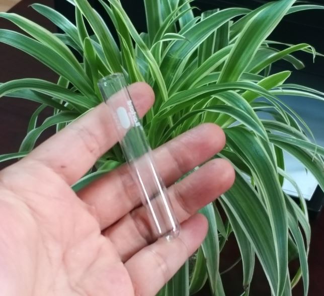 Ống nghiệm thủy tinh kích thước 12 x 75mm, hãng Biohall