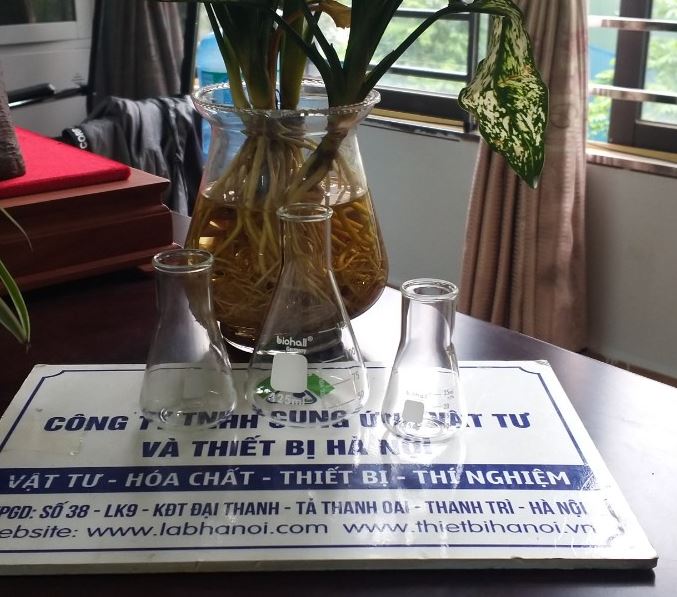 Bình tam giác 125ml hãng Biohall-Germany