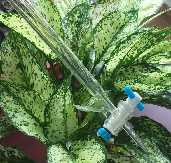 Buret trắng 10ml khóa nhựa PTFE, hãng Onelab