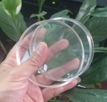Hộp lồng petri thủy tinh phi 80mm, hãng Onelab