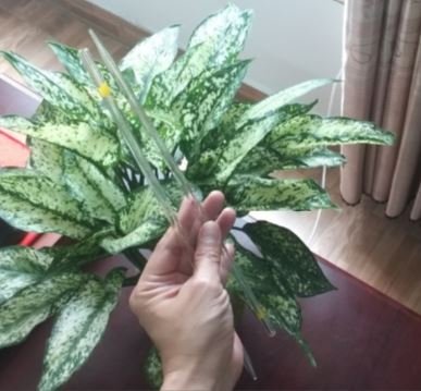 Pipet thủy tinh thẳng 25ml hãng Onelab