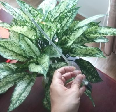 Tỷ trọng kế 1,5 - 1,6 hãng Onelab