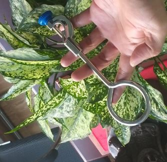 Vòng đỡ phễu thủy tinh phi 80mm, hãng Onelab