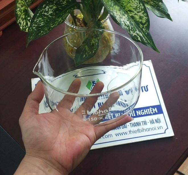 Chậu thủy tinh có mỏ kích thước 70 x 40mm, hãng Biohall