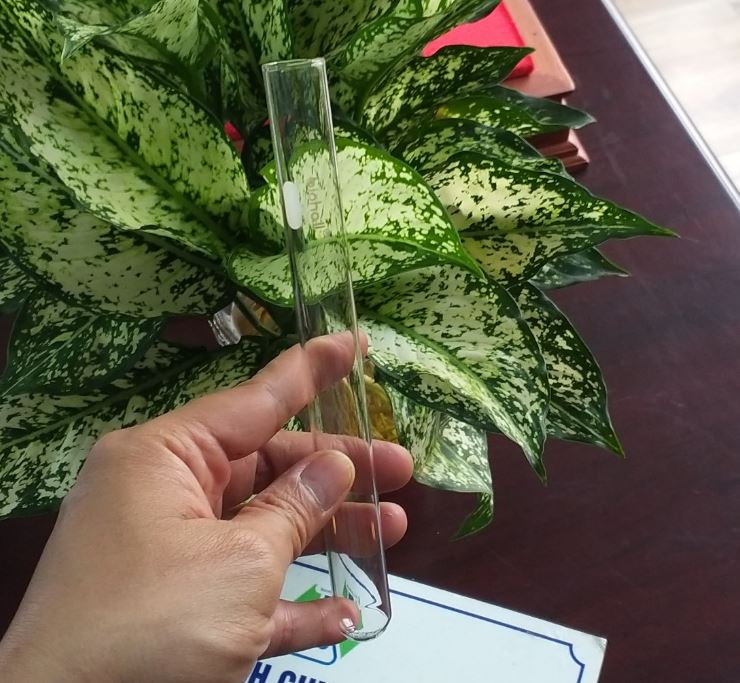 Ống nghiệm thủy tinh kích thước 25 x 150mm, hãng Biohall