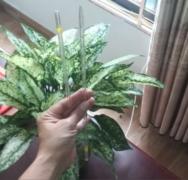 Pipet thủy tinh thẳng 50ml hãng Onelab