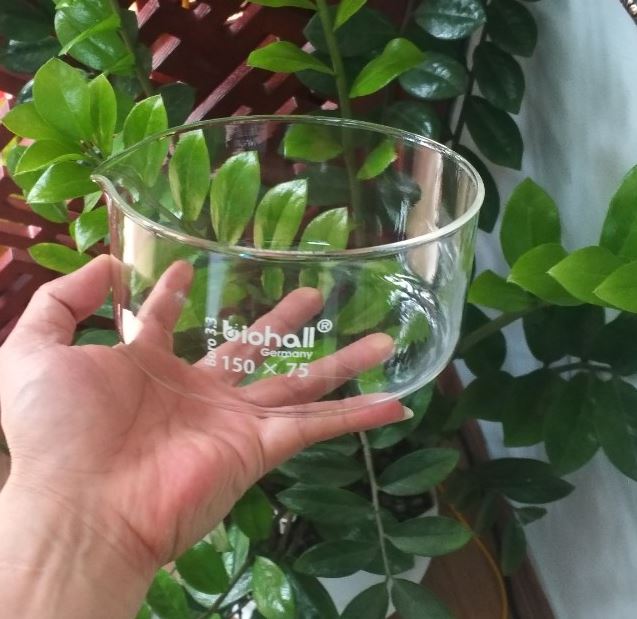 Chậu thủy tinh có mỏ kích thước 80 x 45mm, hãng Biohall