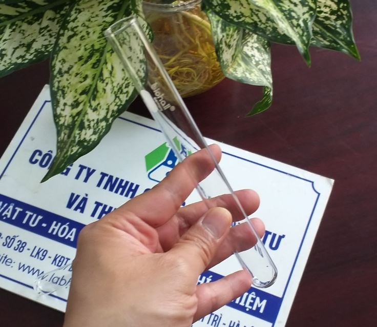 Ống nghiệm thủy tinh kích thước 25 x 200mm, hãng Biohall