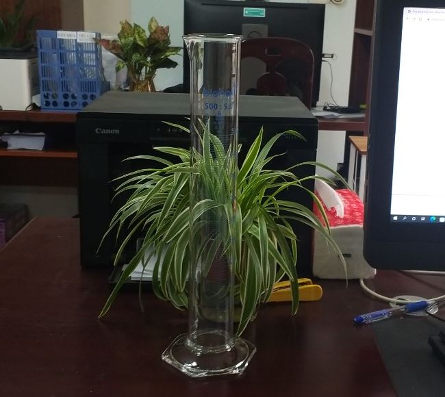 Ống đong thủy tinh 500ml có chia vạch, hãng Biohall