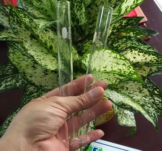 Ống nghiệm thủy tinh kích thước 32 x 200mm, hãng Biohall