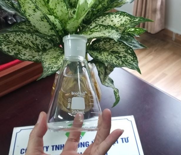 Bình tam giác thủy tinh 250ml cổ nhám 24/29, hãng Biohall-Germany