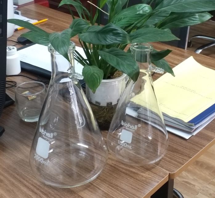 Bình tam giác có vòi 3000ml hãng Biohall-Germany