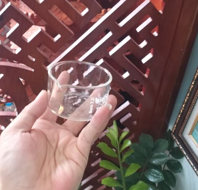 Chậu thủy tinh có mỏ kích thước 150 x 75mm, hãng Biohall