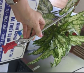 Kẹp giữ ống sinh hàn 3 ngón, hãng Onelab