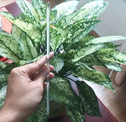 Nhiệt kế thủy ngân 0 đến 100 độ C, hãng Onelab