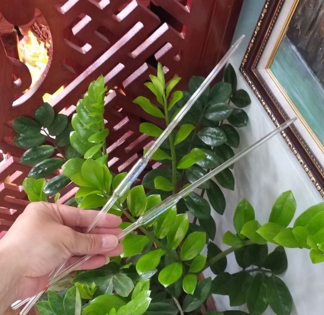 Pipettes bầu thủy tinh 30ml, loại Class AS, hãng Biohall