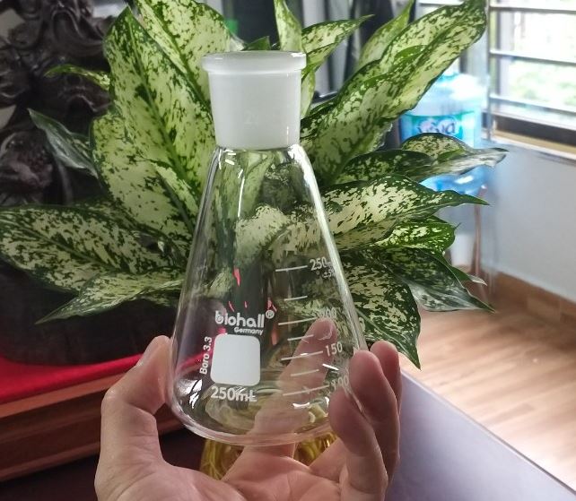 Bình tam giác thủy tinh 250ml cổ nhám 29/32, hãng Biohall-Germany