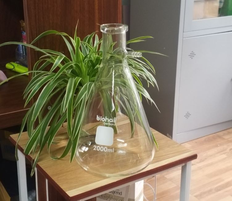 Bình tam giác có vòi 5000ml hãng Biohall-Germany