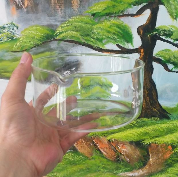 Chậu thủy tinh có mỏ kích thước 190 x 100mm, hãng Biohall