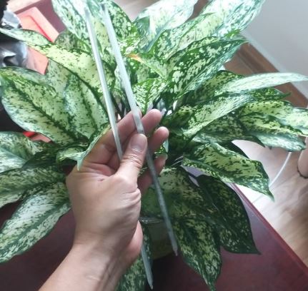 Nhiệt kế thủy ngân 0 đến 200 độ C, hãng Onelab