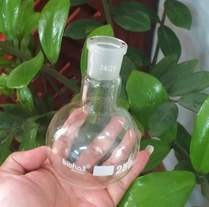 Bình cầu đáy tròn 250ml cổ nhám 24/29, hãng Biohall