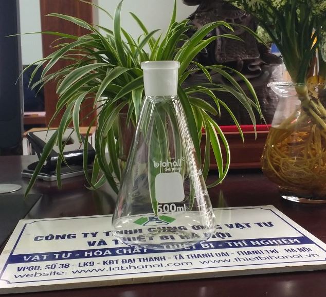 Bình tam giác thủy tinh 500ml cổ nhám 19/26, hãng Biohall-Germany