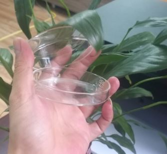 Đĩa petri thủy tinh phi 80mm, hãng Onelab