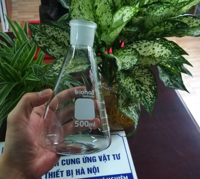 Bình tam giác thủy tinh 500ml cổ nhám 24/29, hãng Biohall-Germany