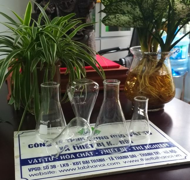 Bình tam giác cổ hẹp 250ml hãng Biohall-Germany