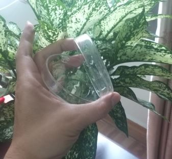 Đĩa petri thủy tinh phi 90mm, hãng Onelab