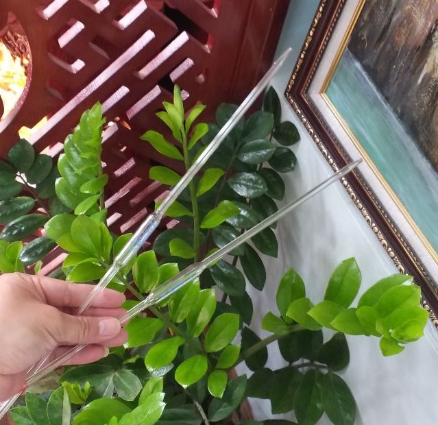 Pipettes bầu thủy tinh 100ml, loại Class AS, hãng Biohall