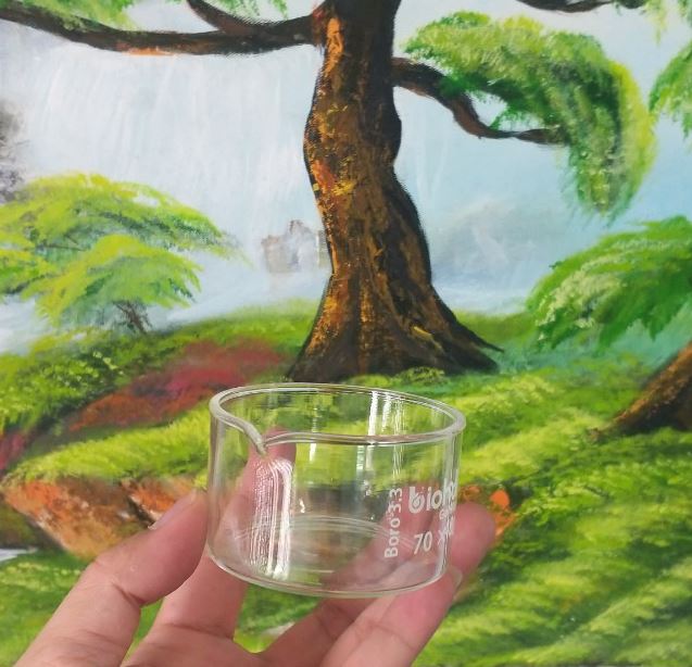 Chậu thủy tinh đường kính 4cm, hãng Biohall