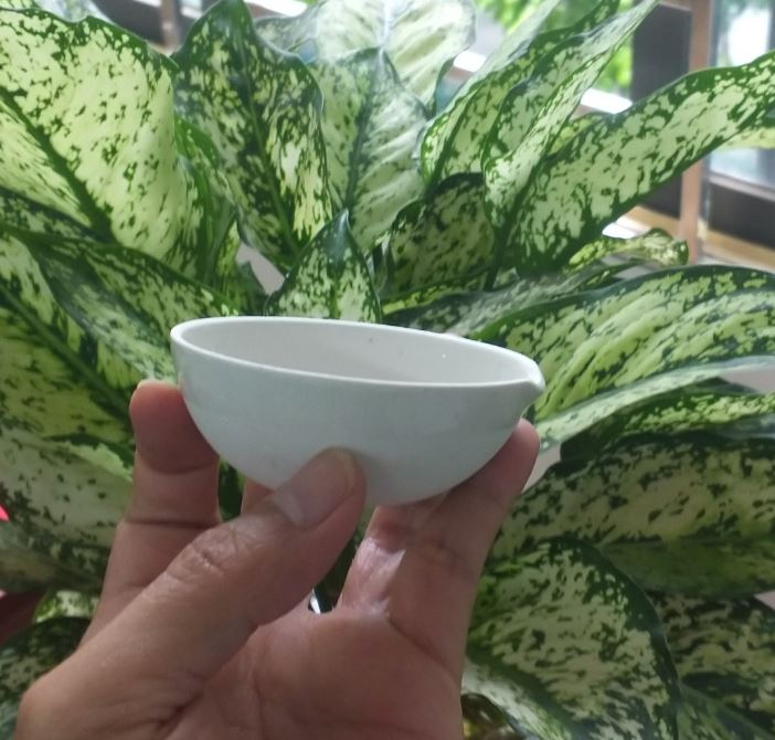 Bát sứ có mỏ 75ml, hãng Onelab