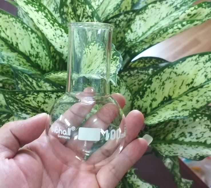 Bình cầu đáy tròn 100ml, hãng Biohall