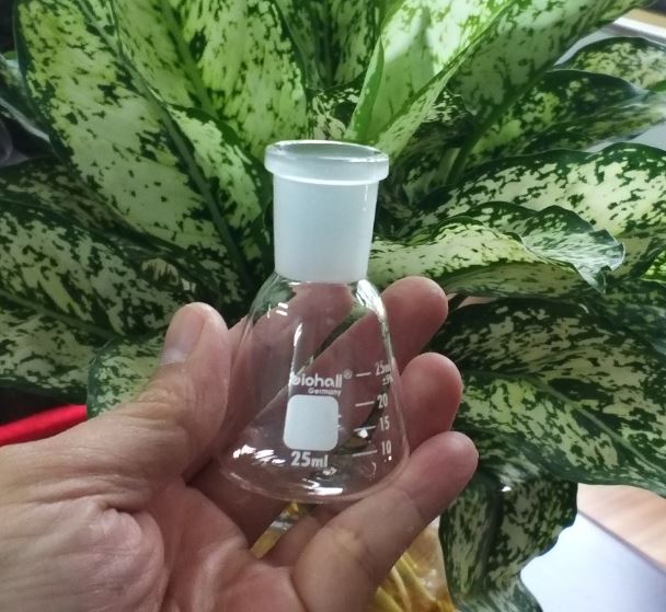 Bình tam giác thủy tinh 25ml cổ nhám 19/26, hãng Biohall-Germany