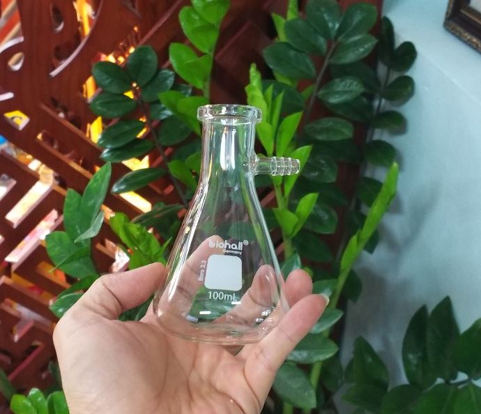Bình tam giác có nhánh hút chân không 250ml hãng Biohall-Germany