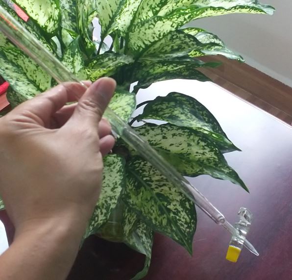 Burette trắng, khóa thủy tinh 25ml, hãng Onelab