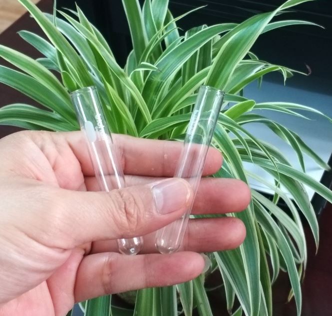 Ống nghiệm thủy tinh kích thước 12 x 100mm, hãng Biohall