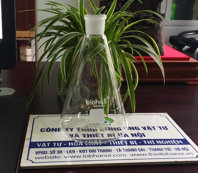 Bình tam giác thủy tinh 1000ml cổ nhám 24/29, hãng Biohall-Germany