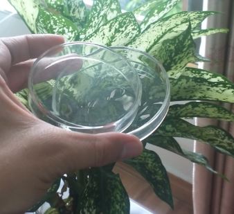 Đĩa petri thủy tinh phi 120mm, hãng Onelab