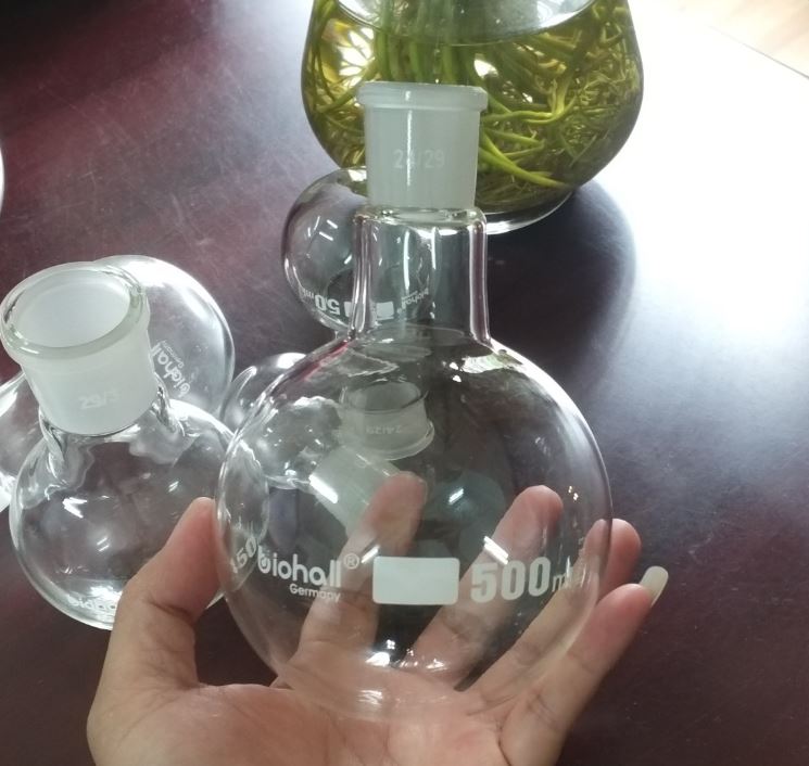 Bình cầu đáy tròn 500ml cổ nhám 29/32, hãng Biohall