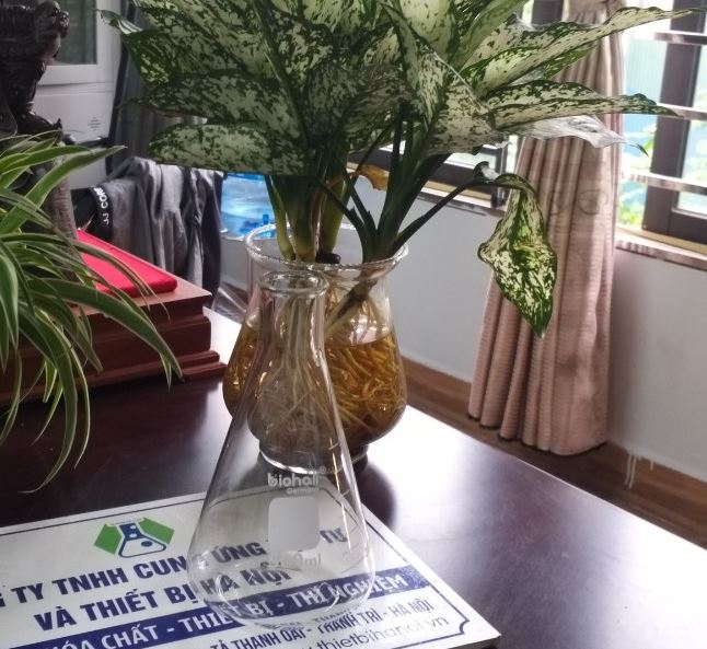 Bình tam giác cổ hẹp 500ml hãng Biohall-Germany