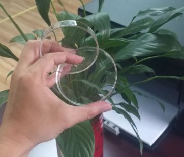 Đĩa petri thủy tinh phi 150mm, hãng Onelab