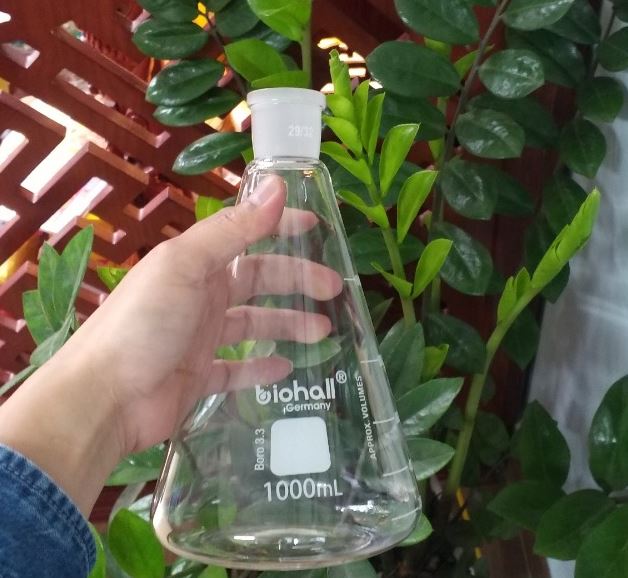 Bình tam giác thủy tinh 1000ml cổ nhám 34/35, hãng Biohall-Germany