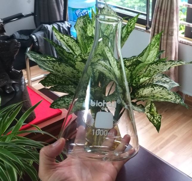 Bình tam giác cổ rộng 1000ml hãng Biohall-Germany