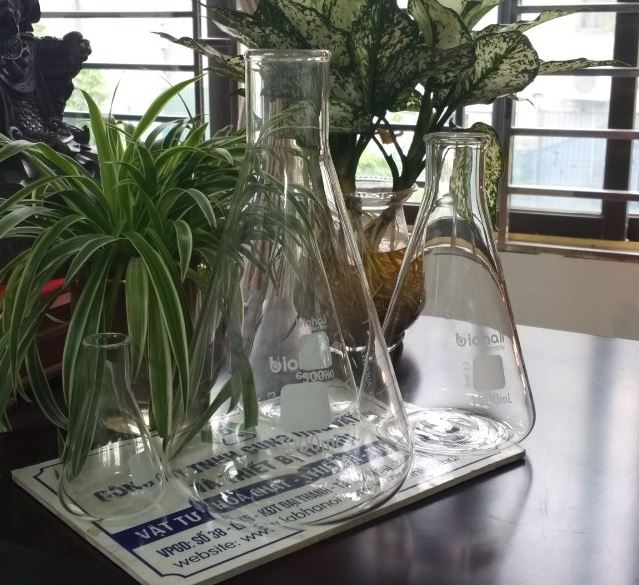 Bình tam giác cổ rộng 2000ml hãng Biohall-Germany