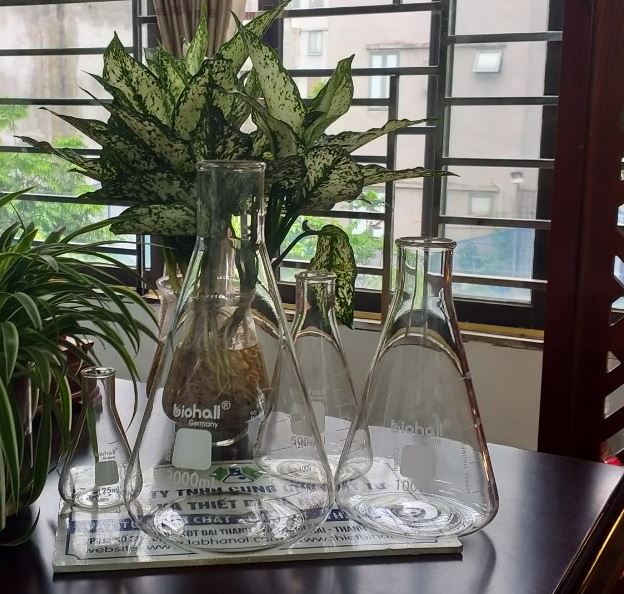 Bình tam giác cổ hẹp 2000ml hãng Biohall-Germany